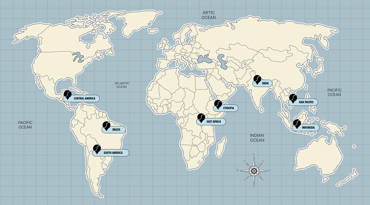 Coffee by Region: How Origin Shapes Flavor in Your Cup