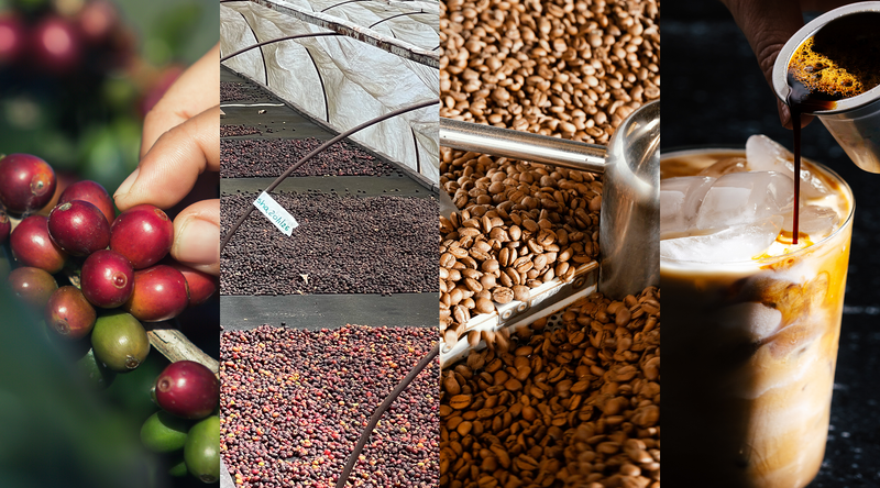 Tasting Notes: Volume 1