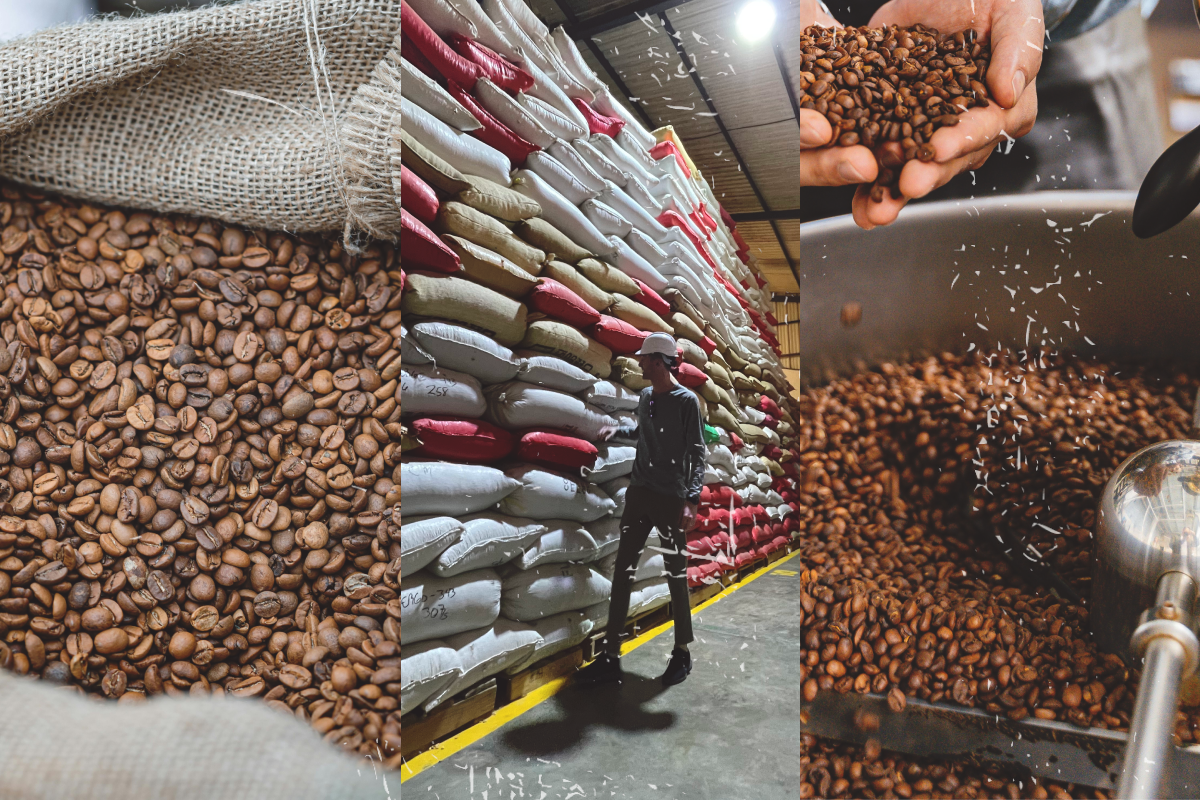 Tasting Notes Vol 3: May 2026