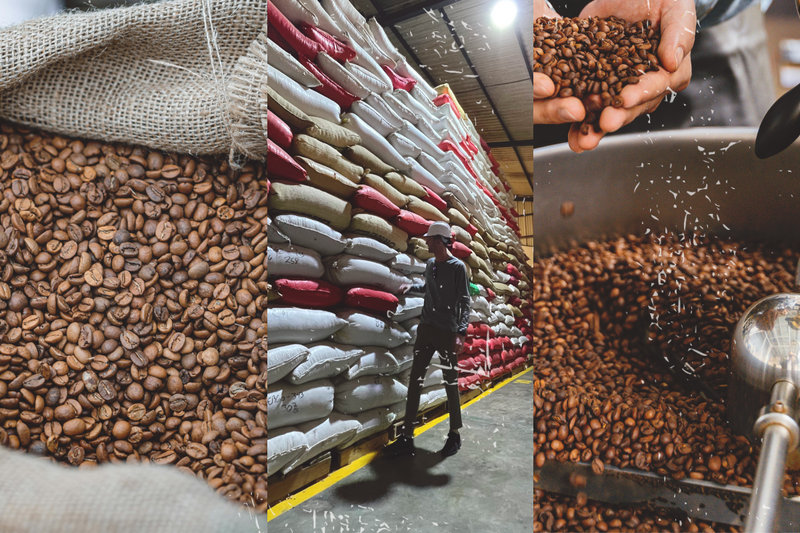 Tasting Notes Vol 3: May 2026