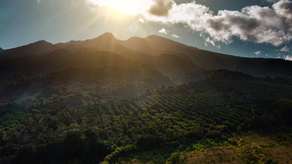The World's Most Esteemed Farm