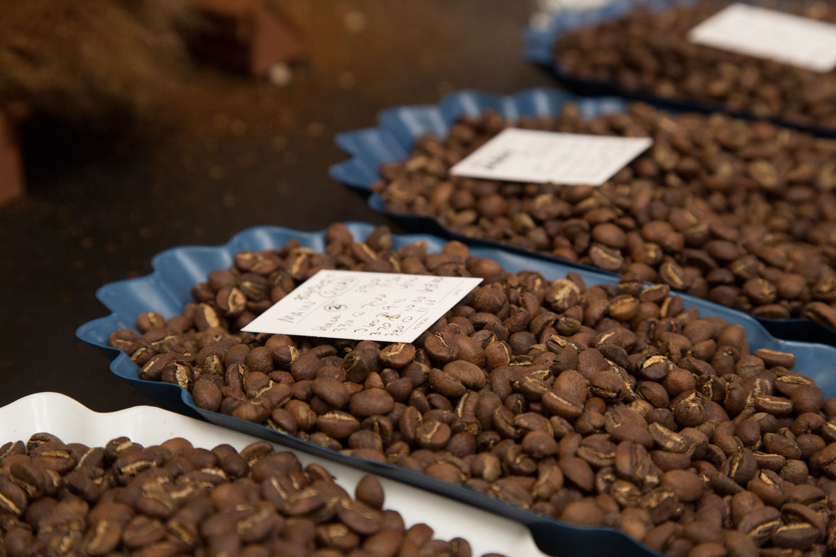 A Longstanding Trailblazer for Top-Quality Coffee
